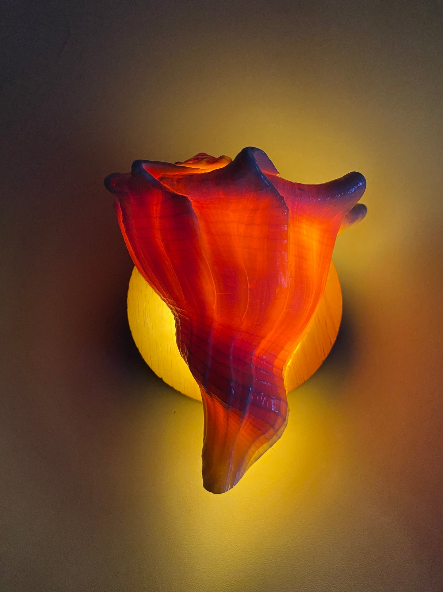 DIY Seashell & Conch Night Light Lamp Kit - Handmade Coastal Craft Project